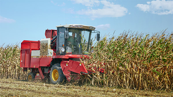 CD03在濰坊進行玉米收獲作業(yè)