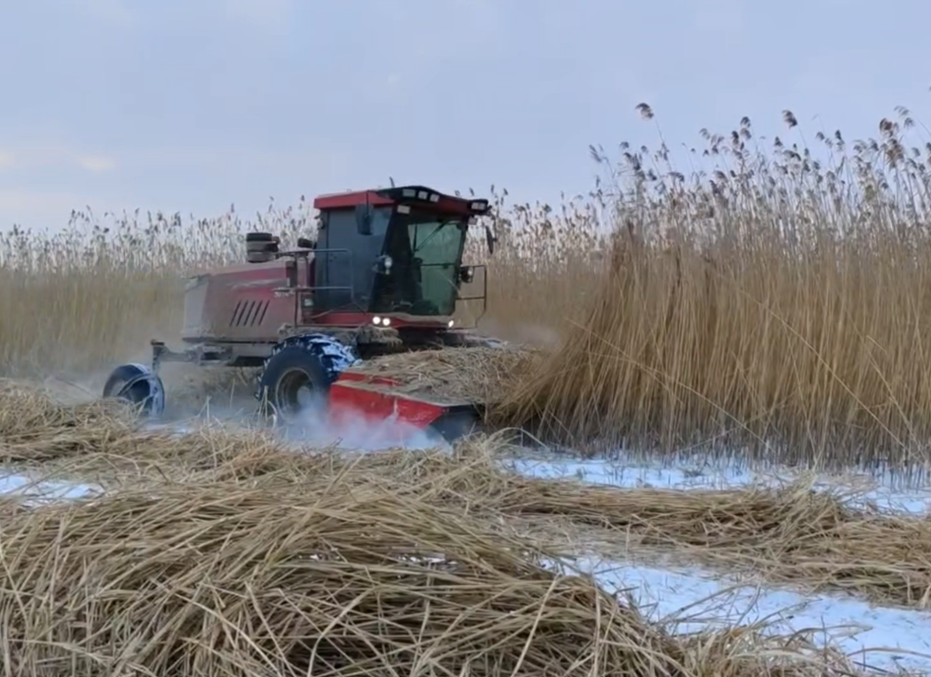 割草壓扁機(jī)全年作物收割視頻