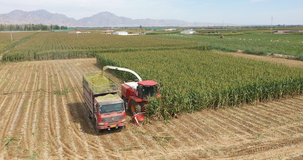 雷沃谷神自走式青貯機(jī)