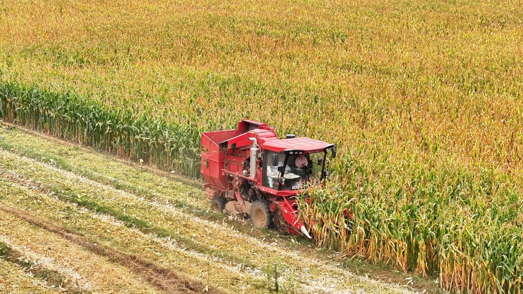 雷沃谷神玉米收獲機節(jié)油減損